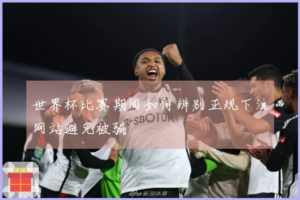 世界杯比赛期间如何辨别正规下注网站避免被骗