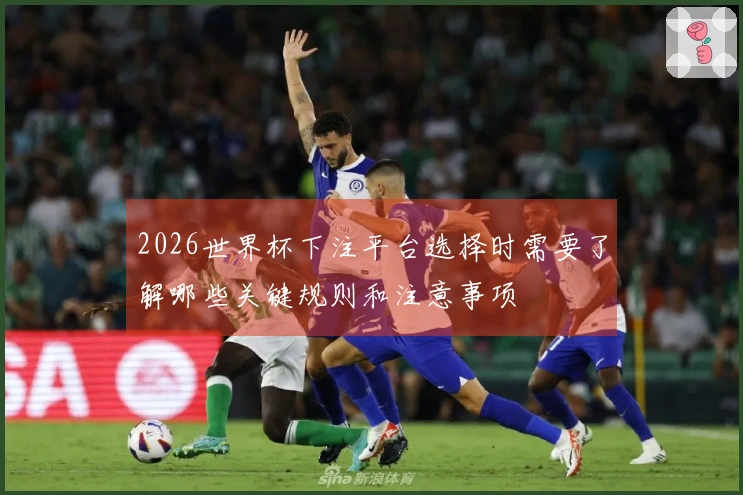 2026世界杯下注平台选择时需要了解哪些关键规则和注意事项
