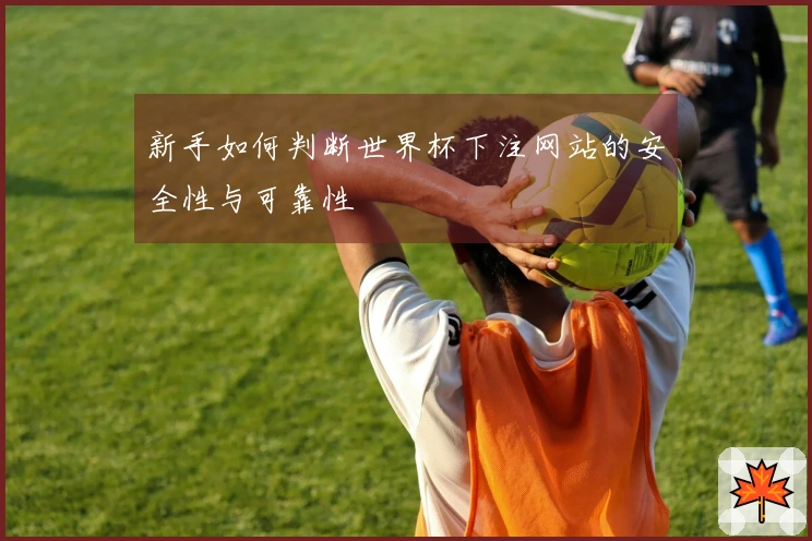 新手如何判断世界杯下注网站的安全性与可靠性