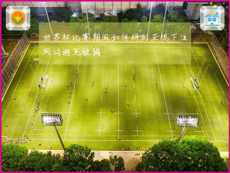 世界杯比赛期间如何辨别正规下注网站避免被骗