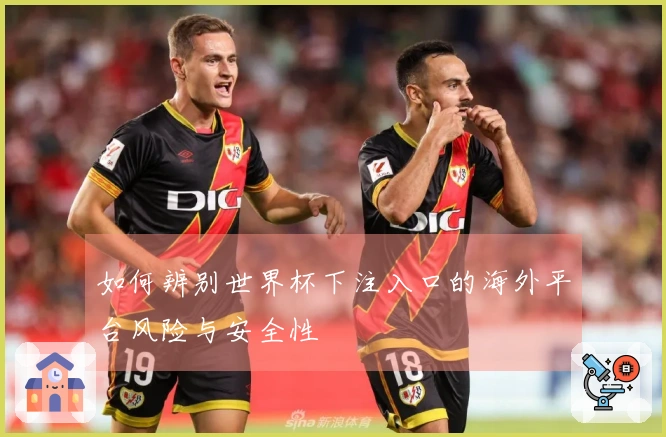 如何辨别世界杯下注入口的海外平台风险与安全性