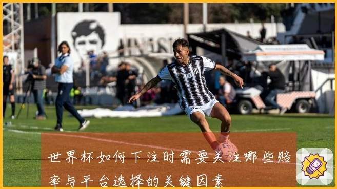 世界杯如何下注时需要关注哪些赔率与平台选择的关键因素