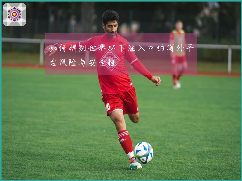 如何辨别世界杯下注入口的海外平台风险与安全性
